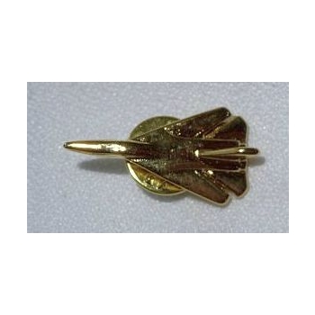 F 111 General Dynamicsna znaczek 3D samolot na pins złoty (id: 197)